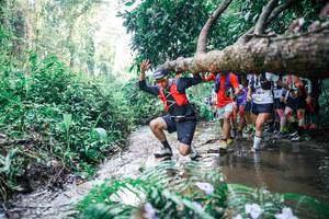 BIB: 
                            <button type="button" onclick="openModal(25466563)" class="btn btn-primary btn-sm float-right btn-popup" data-toggle="modal" data-target=".modal-high-quality">
                        <i class="fas fa-shopping-cart"></i> Add to Cart
                    </button>
                                            <button type="button" onclick="isThisMe(25466563, true)" class="btn btn-success btn-sm float-right btn-popup btn-isme hidden" data-toggle="tooltip" data-placement="bottom" title="นี่คือรูปของคุณใช่ไหม คลิกที่นี่เพื่อเอาเข้าอัลบั้ม">
                        <i class="fas fa-plus"></i> Add to album
                    </button>
                    <button type="button" onclick="isThisMe(25466563, false)" class="btn btn-warning btn-sm float-right btn-popup btn-isnotme hidden">
                        <i class="fas fa-ban"></i> Remove from album
                    </button>